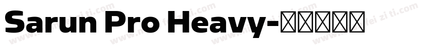Sarun Pro Heavy字体转换